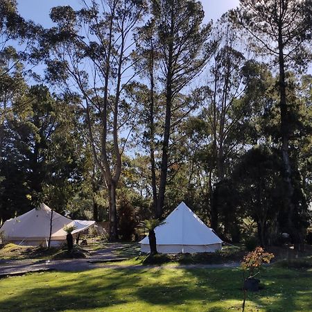 Glamping At Zeehan Bush Camp Exterior photo