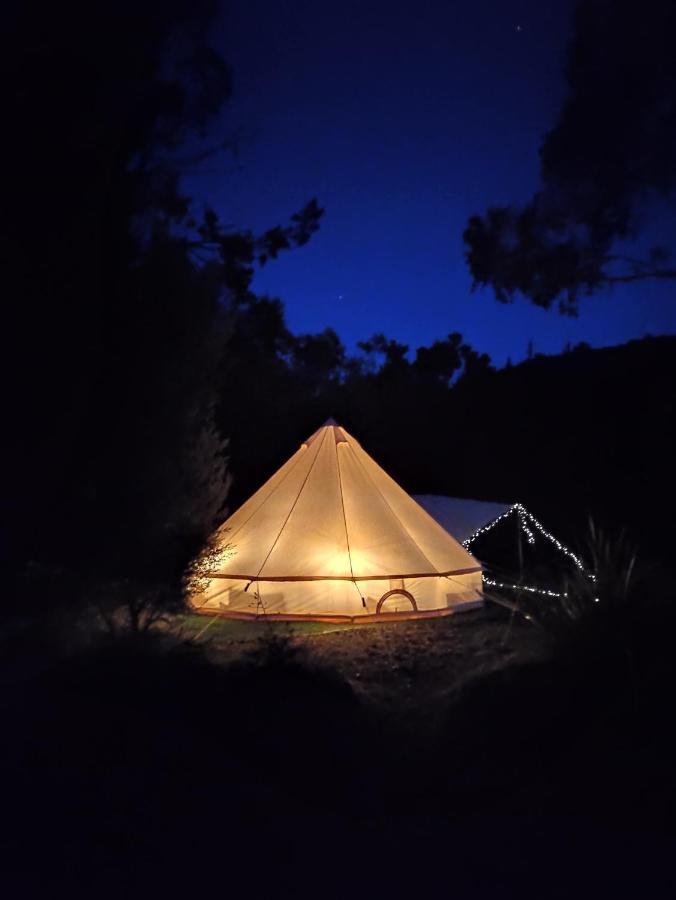 Glamping At Zeehan Bush Camp Exterior photo