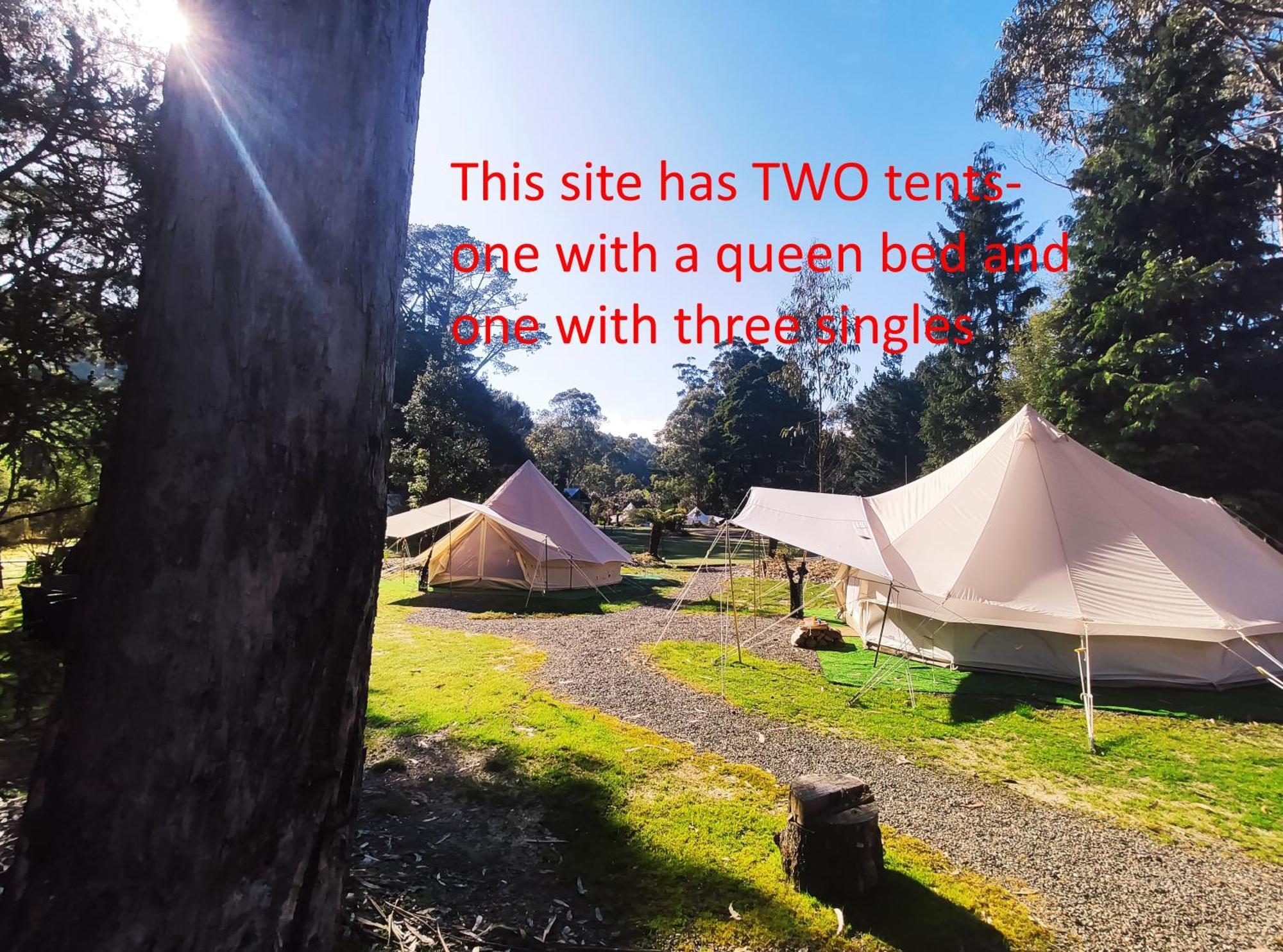 Glamping At Zeehan Bush Camp Exterior photo