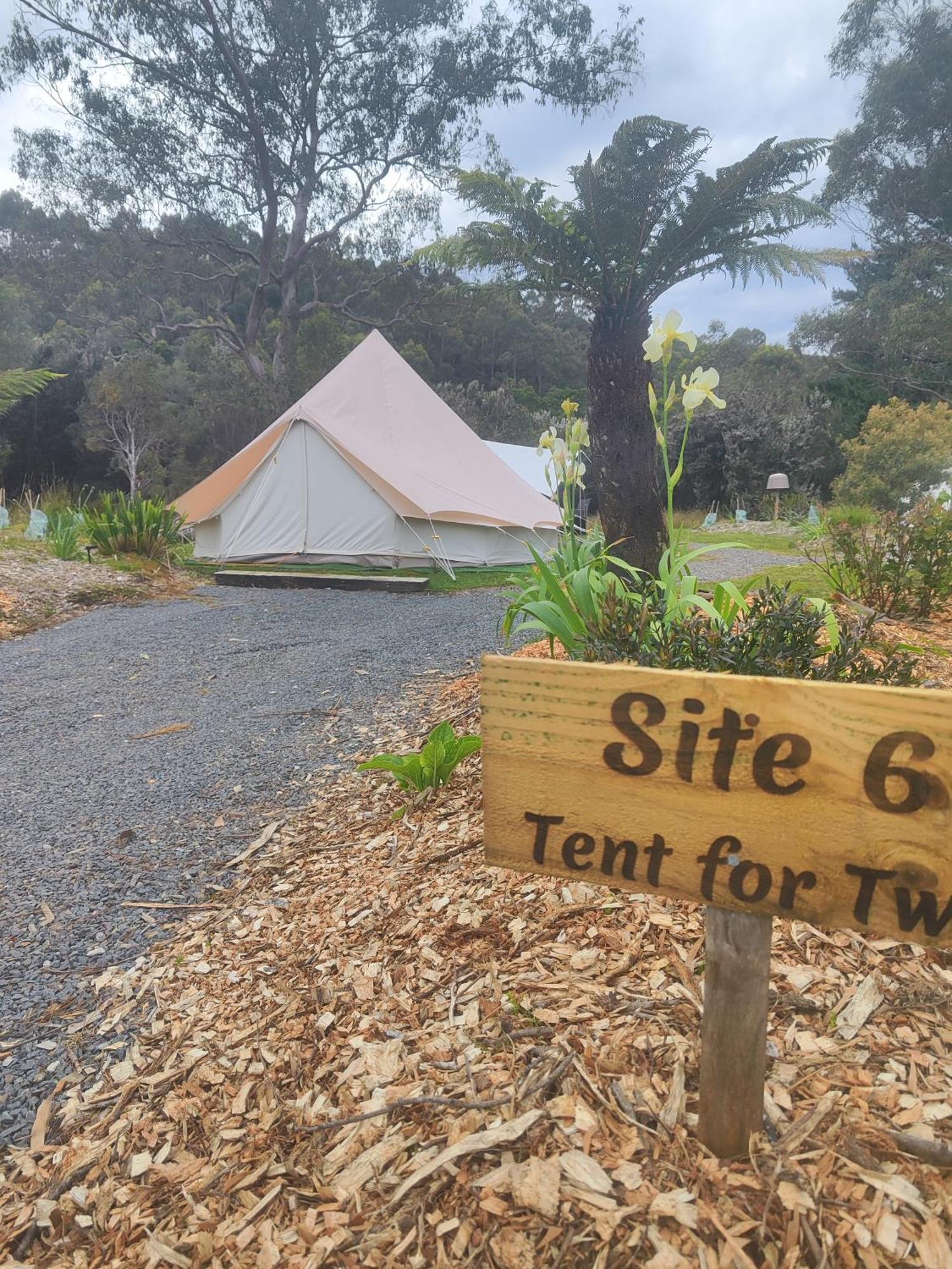 Glamping At Zeehan Bush Camp Exterior photo