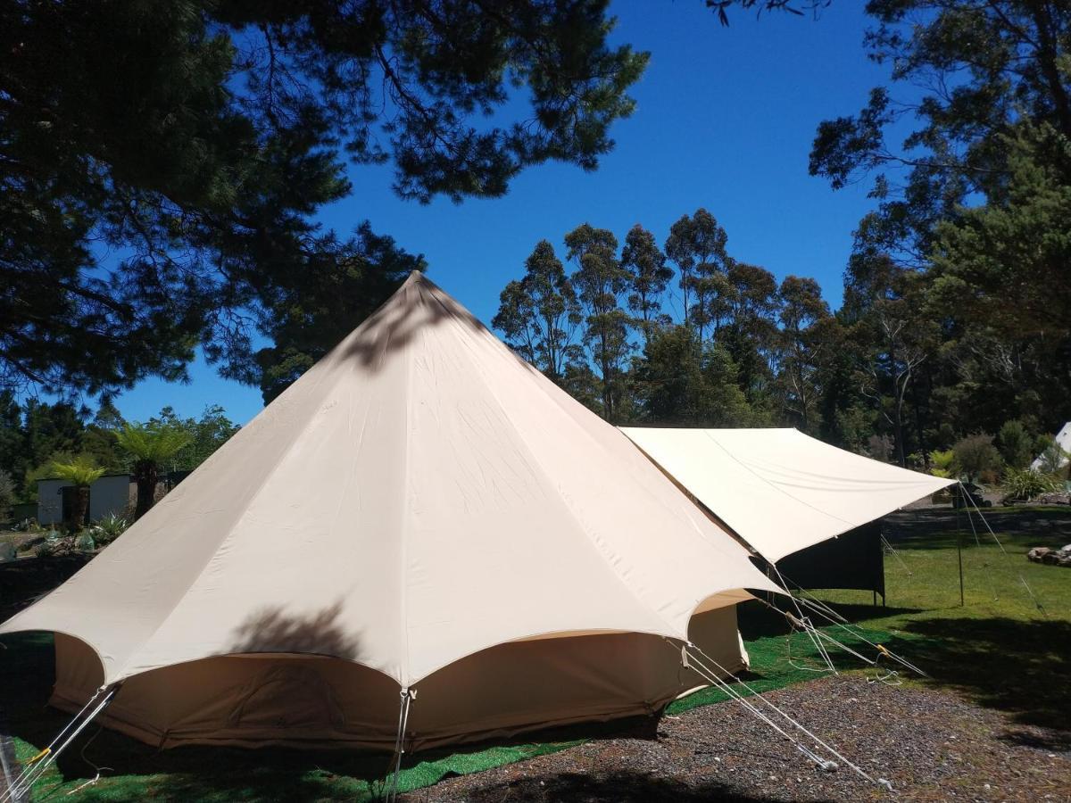 Glamping At Zeehan Bush Camp Exterior photo