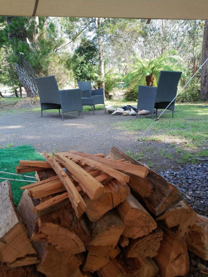 Glamping At Zeehan Bush Camp Exterior photo